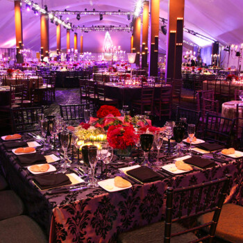 Filling a stadium-sized tent with sound, lights, décor, and PEOPLE is no easy feat. We are up for the task. Photo credit, Cortney Van Jahnke; décor Absolutely Wild Event Design; lighting Arc3 Design; event NJPAC Spotlight Gala 2010. 0047_CVJ-10.2.10-NJPAC